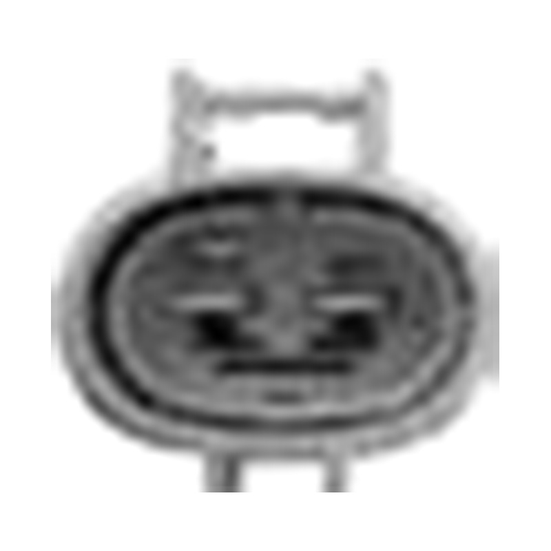 หางโจว โกลเด้น ซัน ออโต้พาร์ท บจก.