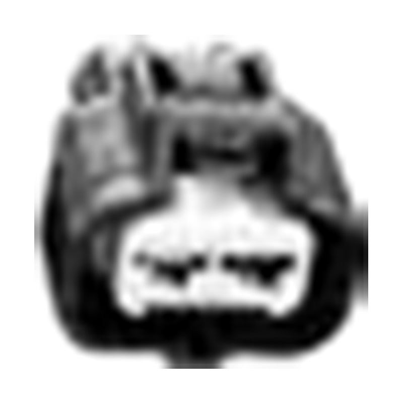 หางโจว โกลเด้น ซัน ออโต้พาร์ท บจก.