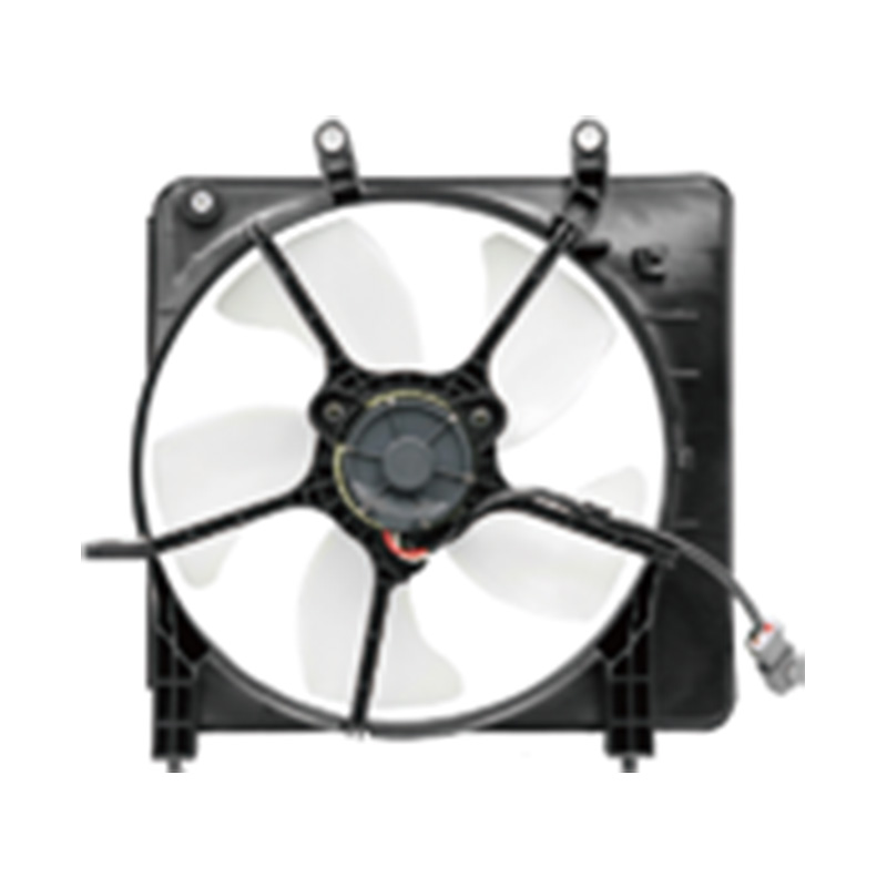 FITIJAZZ (RAD แฟน) 2005-2006 CFHS02